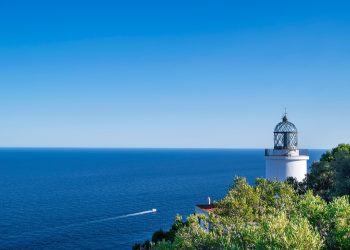 Imagem de Enrique por Pixabay