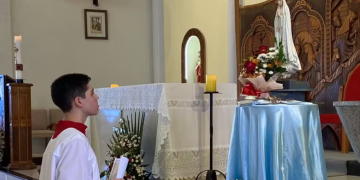 aprovado em medicina