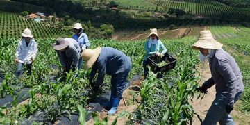 Foto ilustrativa: Omar Freire/Imprensa MG