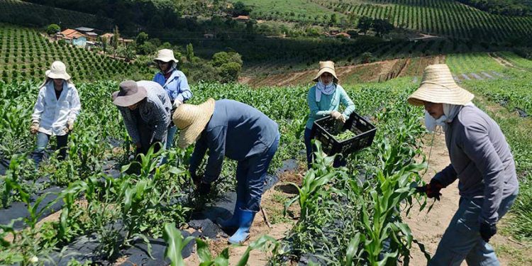 Foto ilustrativa: Omar Freire/Imprensa MG