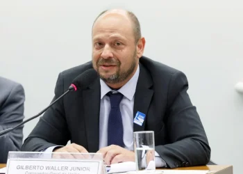 Gilberto Waller Junior, presidente do INSS (Foto: Luis Macedo/Câmara dos Deputados)