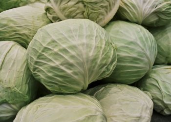 Foto ilustrativa: Engin Akyurt/Pexels