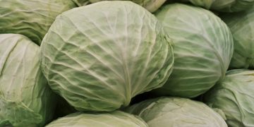 Foto ilustrativa: Engin Akyurt/Pexels