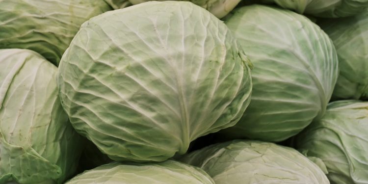 Foto ilustrativa: Engin Akyurt/Pexels