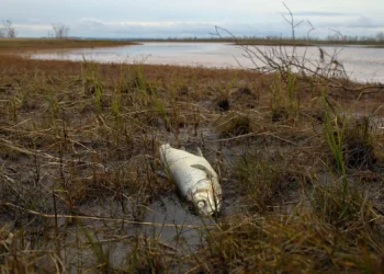 cidade rússia poluição