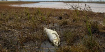 cidade rússia poluição