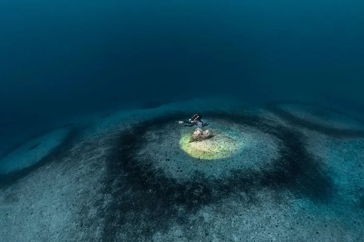 anéis mar mediterrâneo