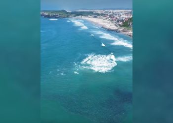 cardume espírito santo