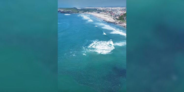 cardume espírito santo