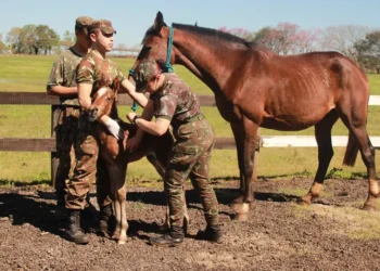 Foto: Kauan da Silva/Coudelaria de Rincão