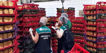 Foto: Reprodução/Agefis