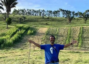 fazenda marcos palmeira