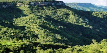 Reserva Natural Serra das Almas