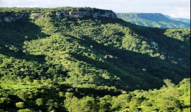 Reserva Natural Serra das Almas