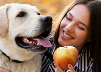 pet fruta