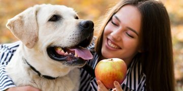 pet fruta