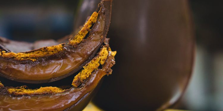 Foto ilustrativa: Geovane Souza/Pexels