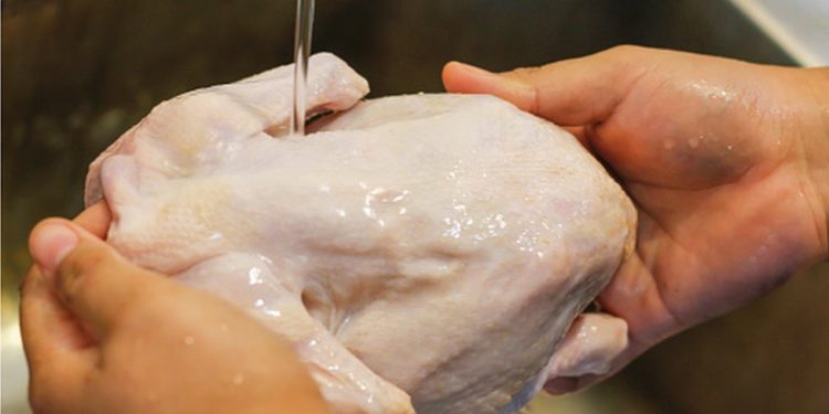 lavar frango faz mal