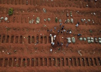 pandemia covas morte cientista