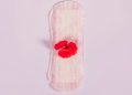 absorvente menstruação