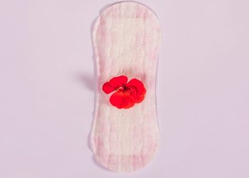 absorvente menstruação