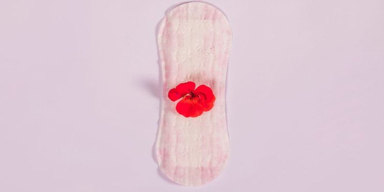 absorvente menstruação