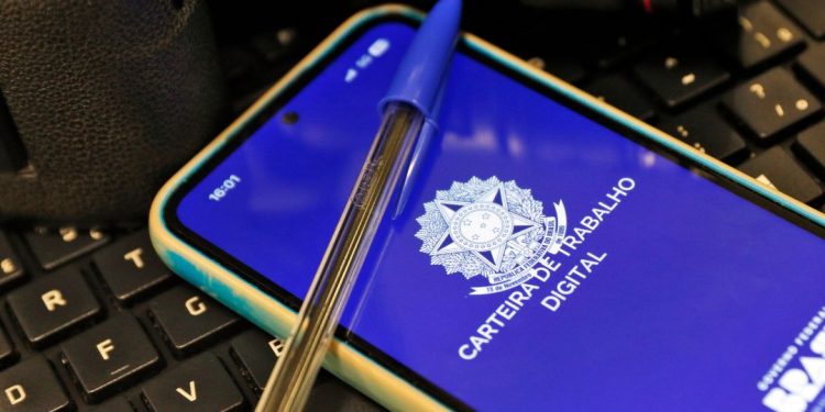 carteira de trabalho