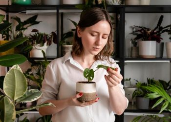 cuidando de plantas