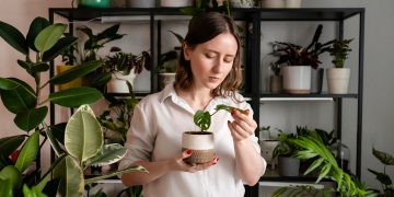 cuidando de plantas