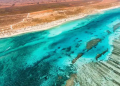 ningaloo canyons australia criatura local mar oceano