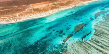 ningaloo canyons australia criatura local mar oceano