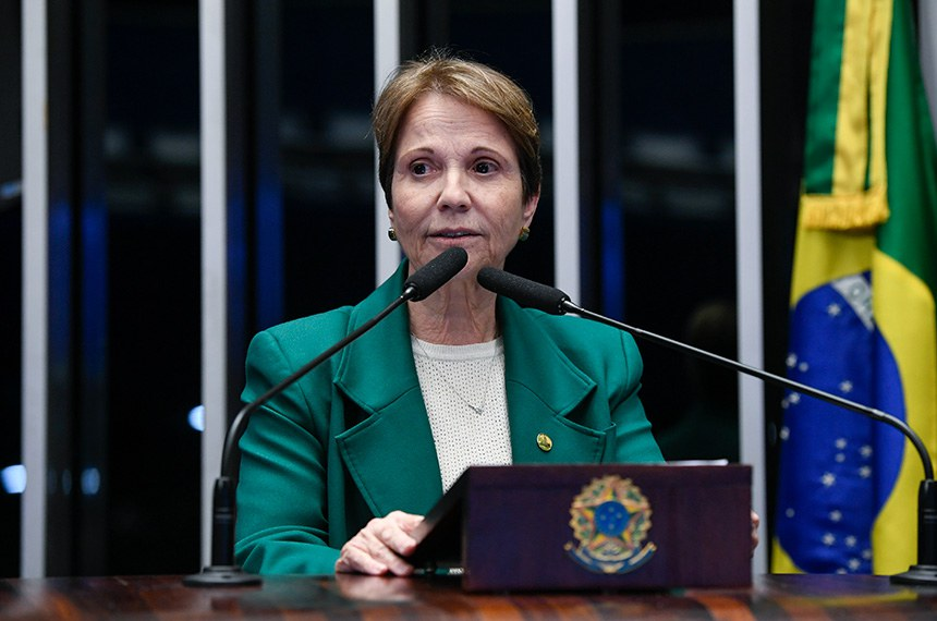 tereza cristina vice flavio eleição