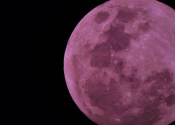 lua rosa
