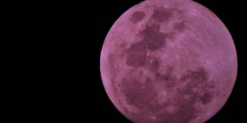 lua rosa