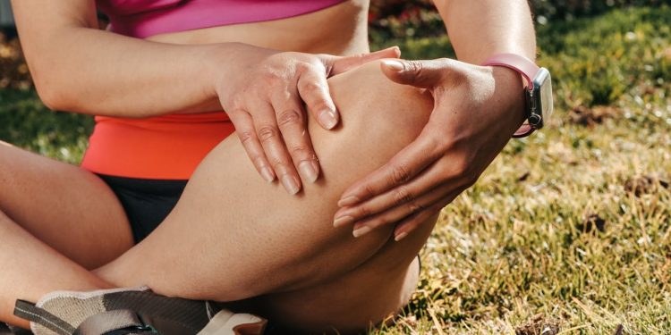 Foto ilustrativa: Kindel Media/Pexels