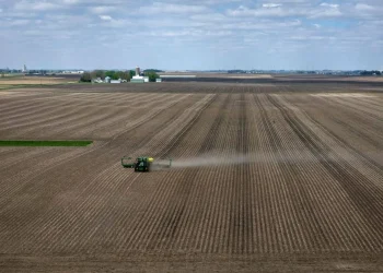 fertilizante campo agro plantação ormuz onu fome