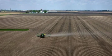 fertilizante campo agro plantação ormuz onu fome