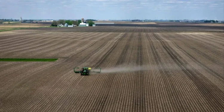fertilizante campo agro plantação ormuz onu fome
