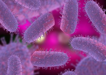 virus da raiva