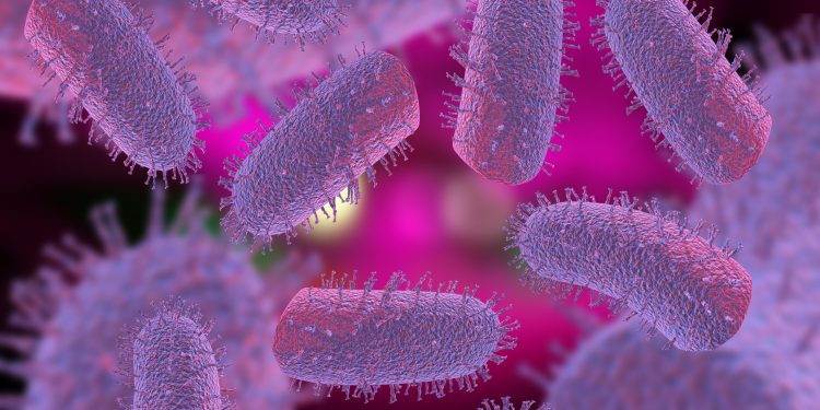 virus da raiva