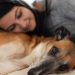 cachorro cama mulher