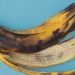 cascas de banana