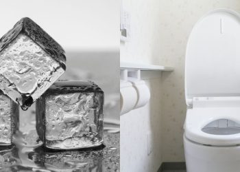 cubos de gelo vaso sanitário