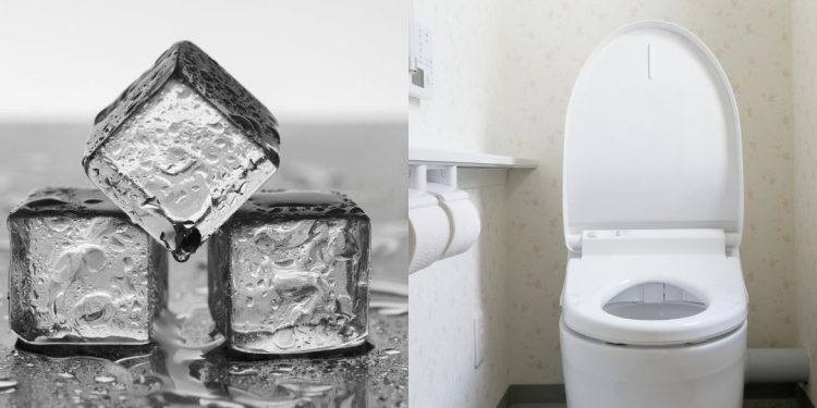 cubos de gelo vaso sanitário