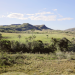 Cerrado (Foto: Agência Brasil)