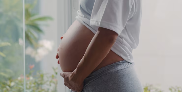 salário maternidade grávida inss
