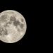 lua