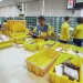 correios