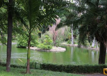 bh cidade bebida agua