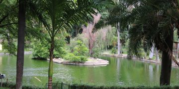 bh cidade bebida agua